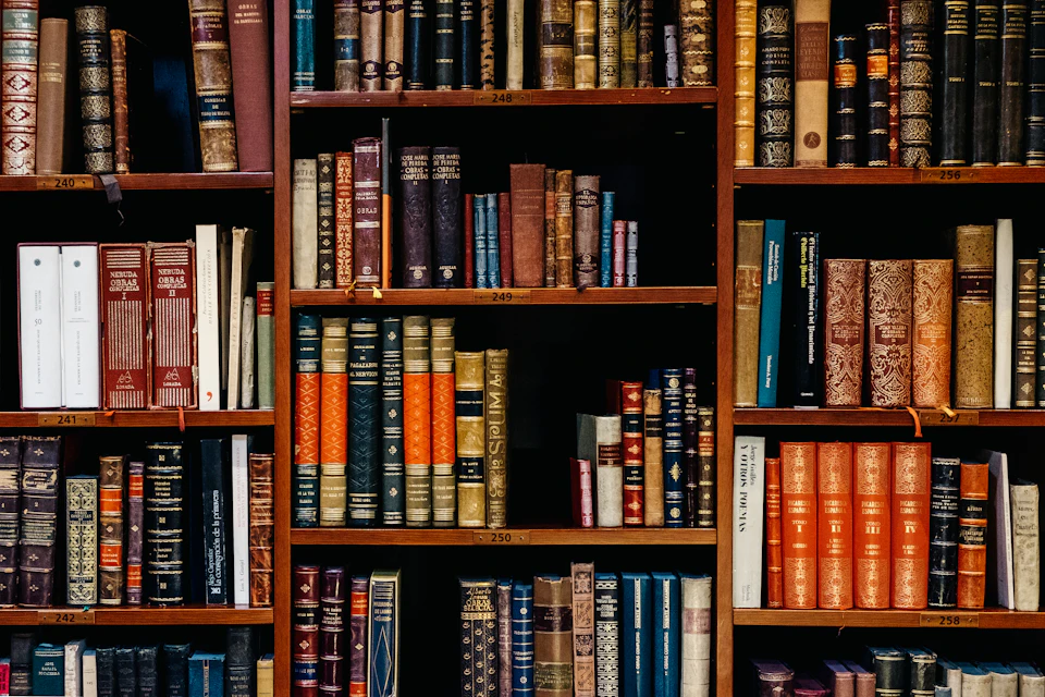 Estanterías cun llibros n’una bibliuteca